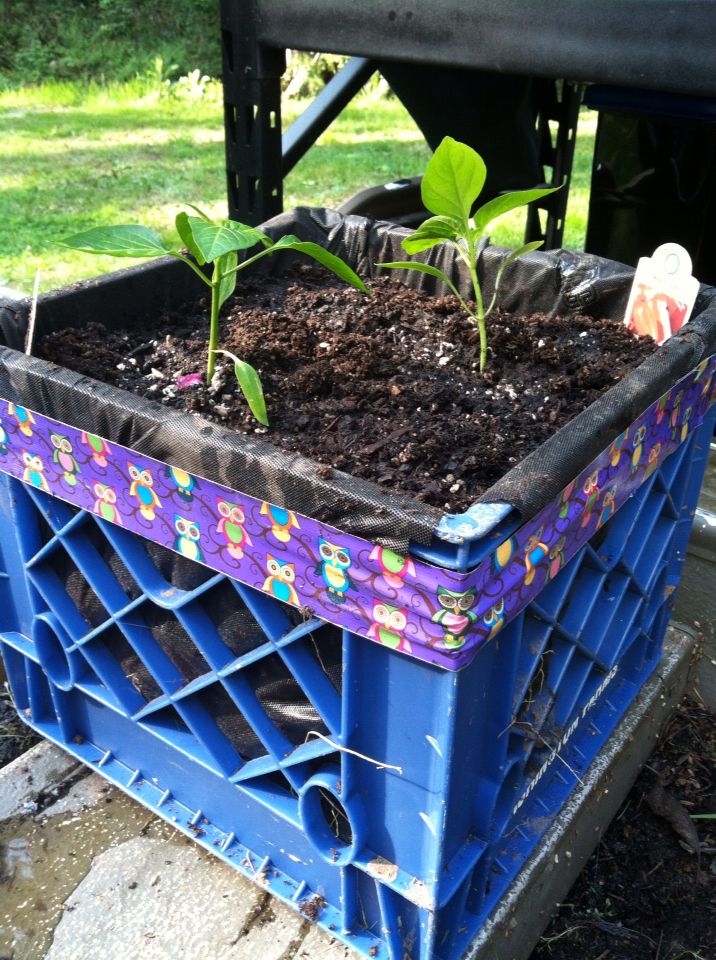 this is a Milk Crates with Fabric Lining, a cheap raisedbed 