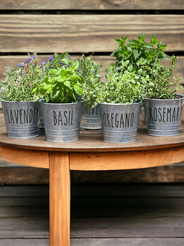 this is a Galvanized Bucket Planters