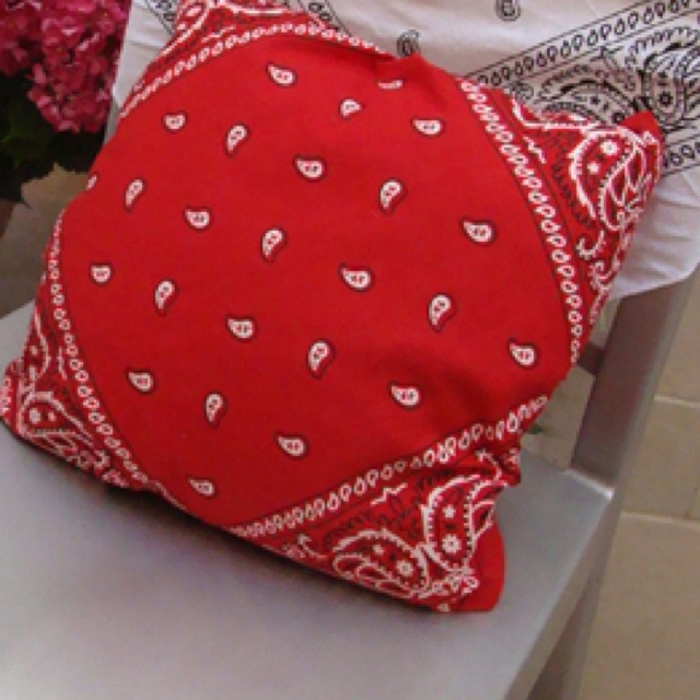This  is a Bandana Style Cover