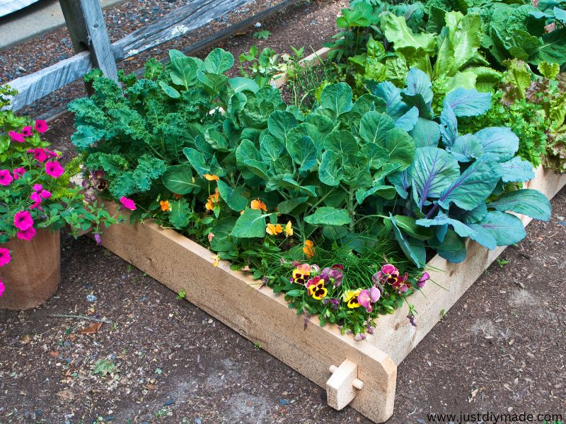 this is a Raised Bed Ideas