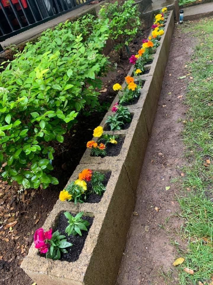 this is a  Cheap Raised Bed, a Cinder Block Raised Bed