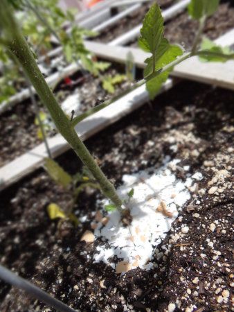this is a eggshell Compost Booster