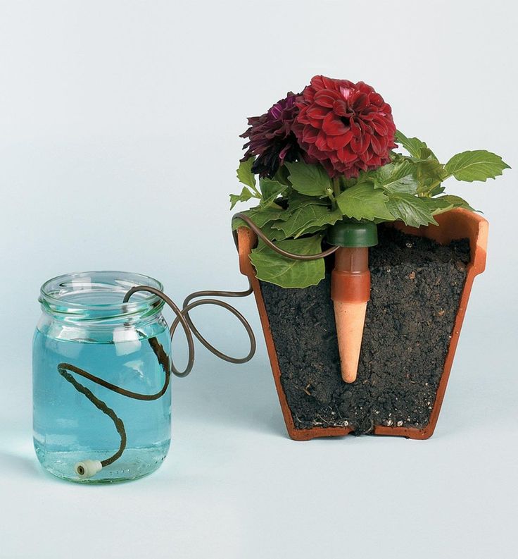 this is a Mason Jar with Cotton Wick