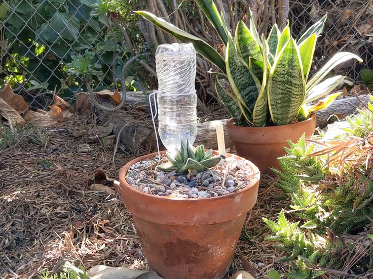  this is a DIY self-watering planter. 
