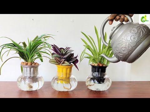 this is a DIY Self-Watering Planters 