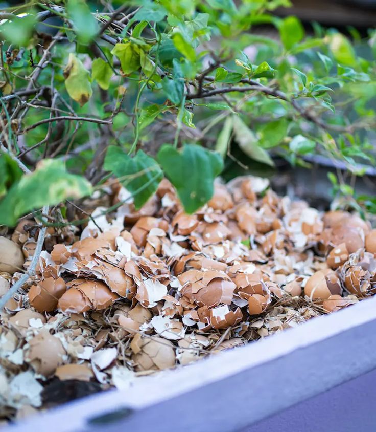 this is a Soil Amendment for Raised Beds and Containers
