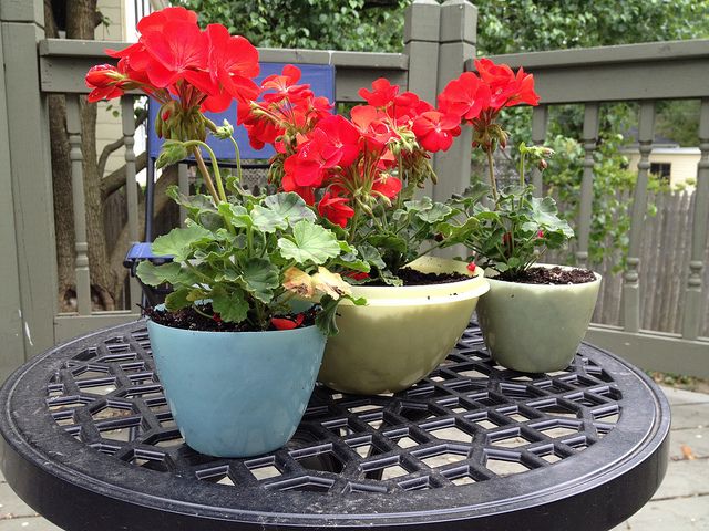 this is a Recycled Tupperware Planter Box
