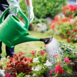 this is a DIY Self-Watering plant