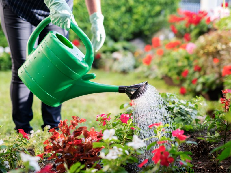 this is a DIY Self-Watering plant